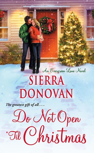 Sierra Donovan - Do Not Open 'Til Christmas